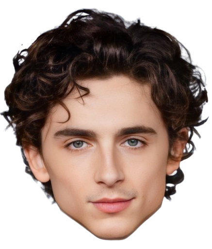Timothée Chalamet Face Mask